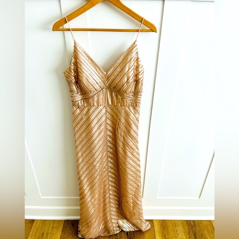 BLUSH Weddington Way Florence Gown Size 4